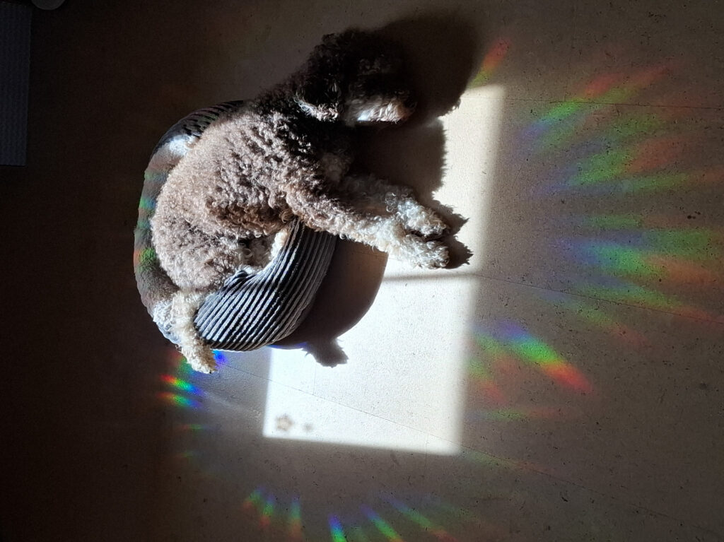 Entspannung_Regenbogen_edited2 Totale Entspannung